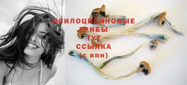 метадон Магас